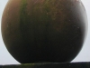 Sandstone pier with a ball finial